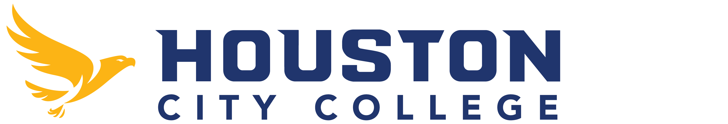 Houston City College